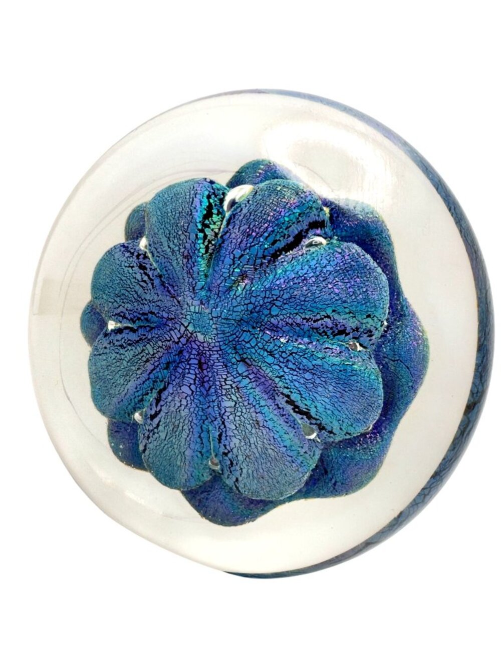 Robert Eickholt Blue Dichroic Art Glass Paperweight Sand Dollar Signed Vtg 90s